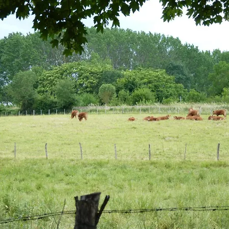 Bed & Breakfast La Laiterie Du Logis Chaniers