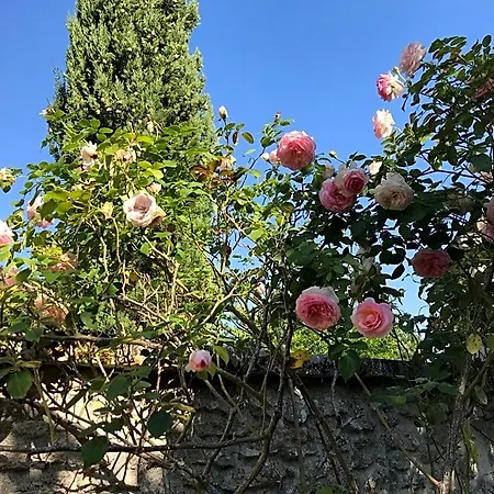 La Laiterie Du Logis Bed & Breakfast